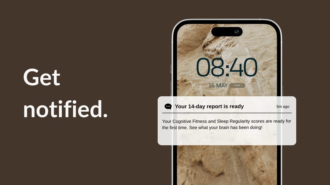 Get notified — bi-weekly reports in the Tacet app